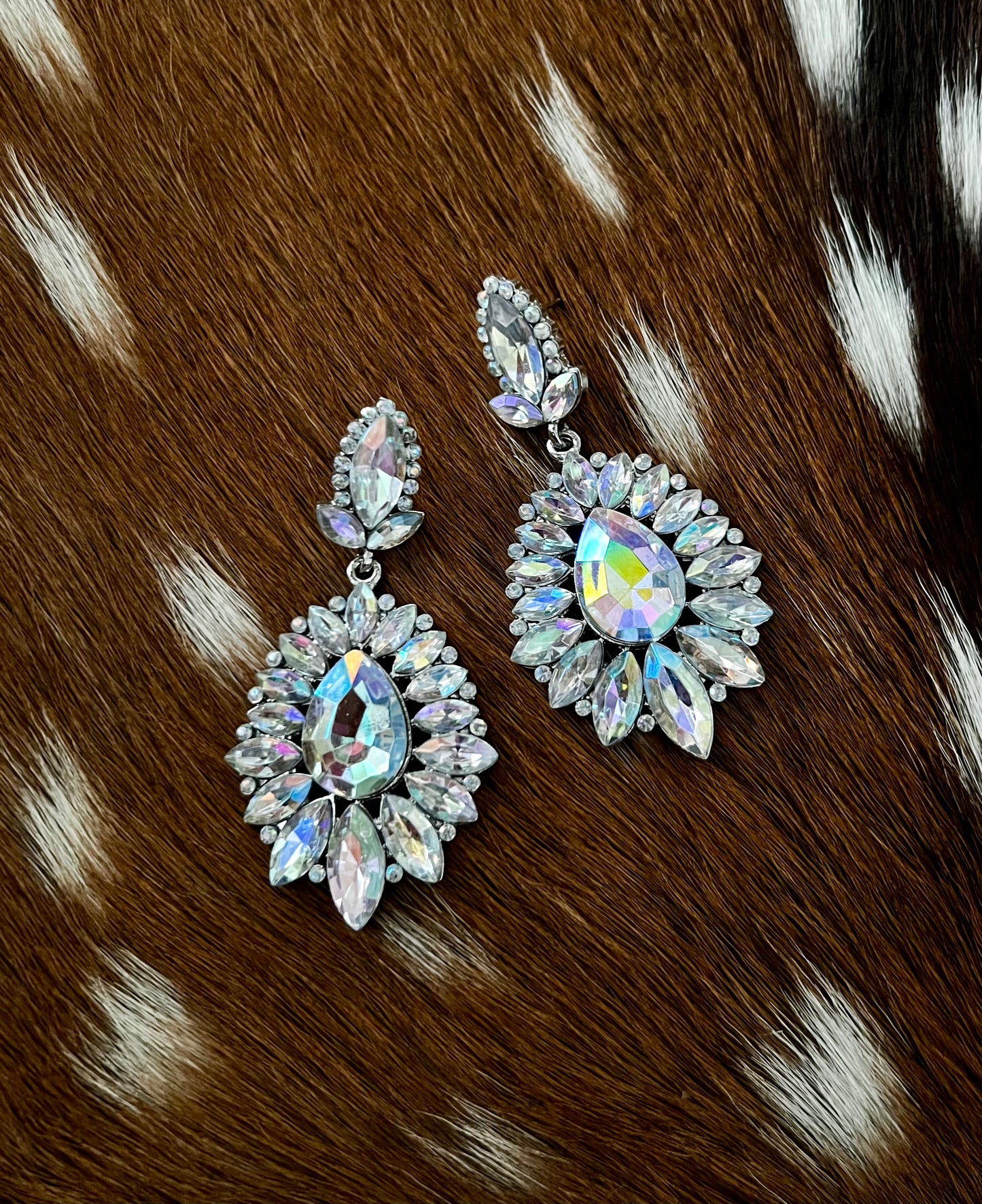 Crystal Rain Earrings - Cassie's Creekside Boutique