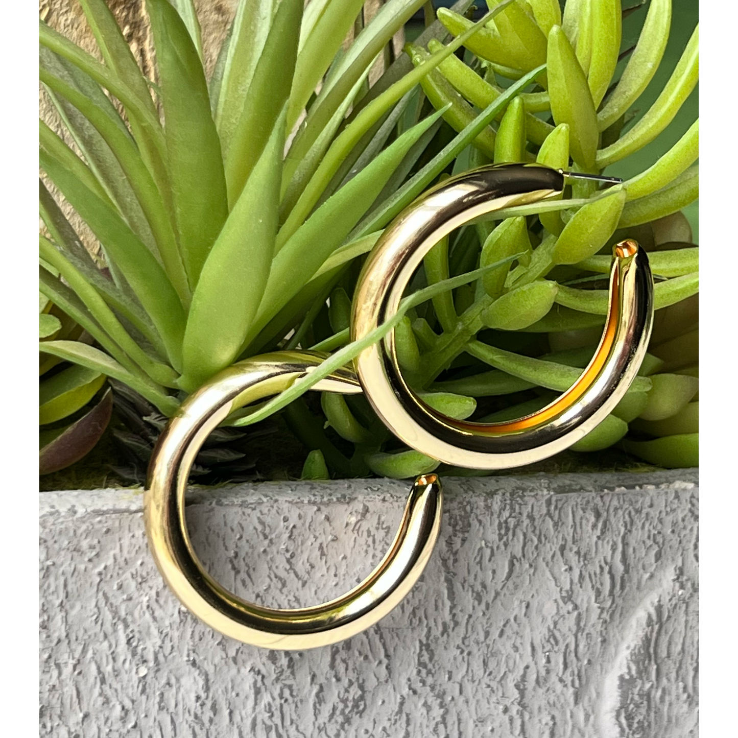 Bold in Gold hoops