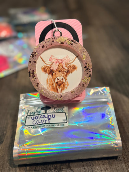 Ready to ship Car Freshies - Cassie's Creekside Boutique